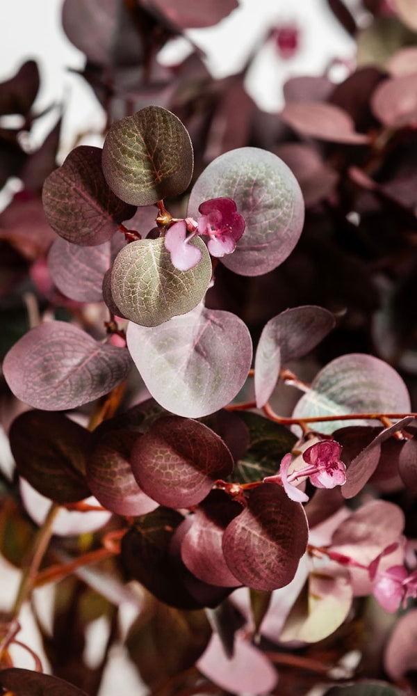 Faux Burgundy Eucalyptus