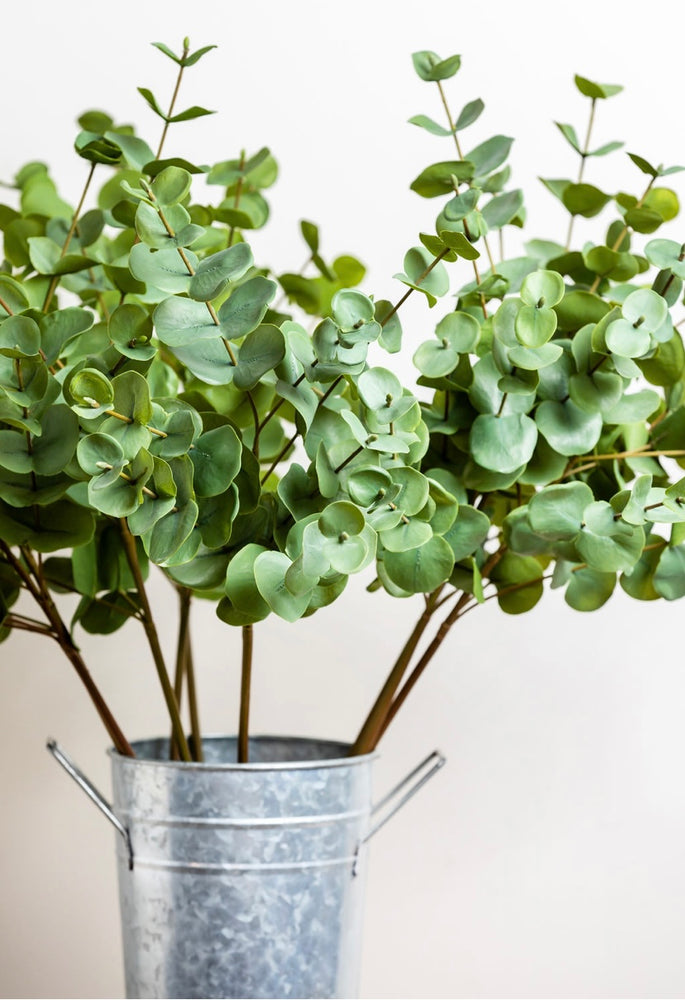 
                      
                        Faux Green Eucalyptus Stems
                      
                    