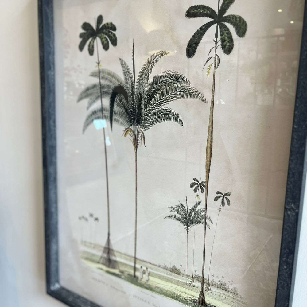 
                      
                        'Tropical Elegance' Framed Palm Tree Pictures Set of 2
                      
                    