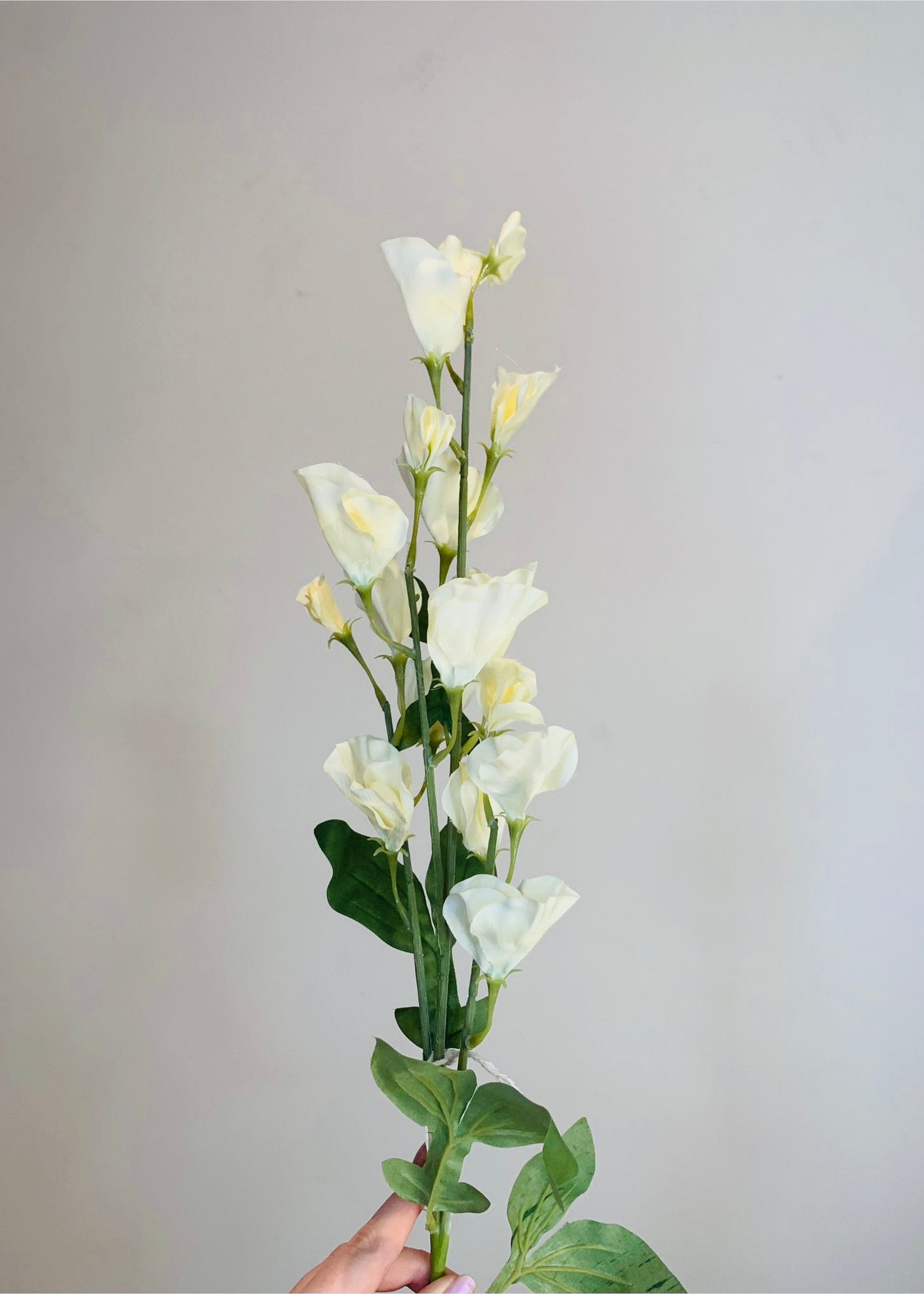 White Tall Faux Sweet Pea Stem