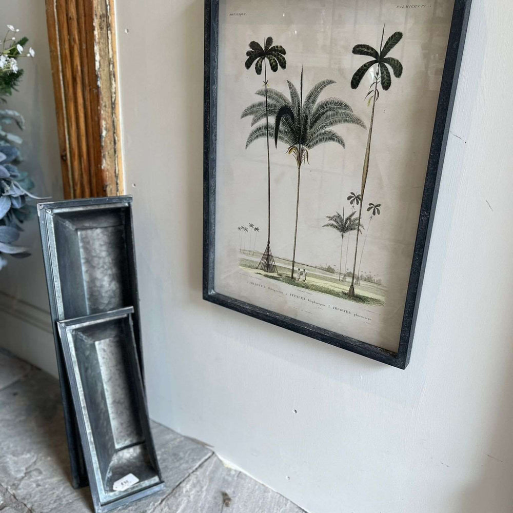 
                      
                        'Tropical Elegance' Framed Palm Tree Pictures Set of 2
                      
                    