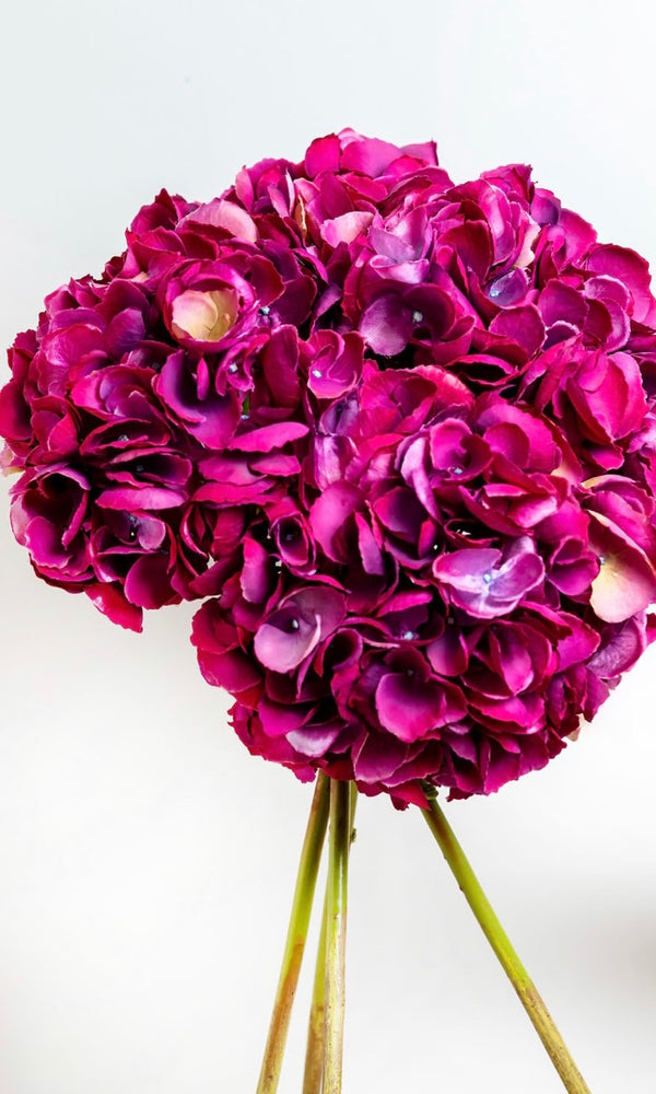 
                      
                        Faux Fuchsia Hydrangea Mophead
                      
                    