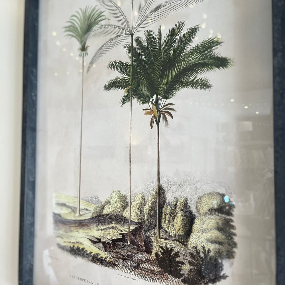 
                      
                        'Tropical Elegance' Framed Palm Tree Pictures Set of 2
                      
                    