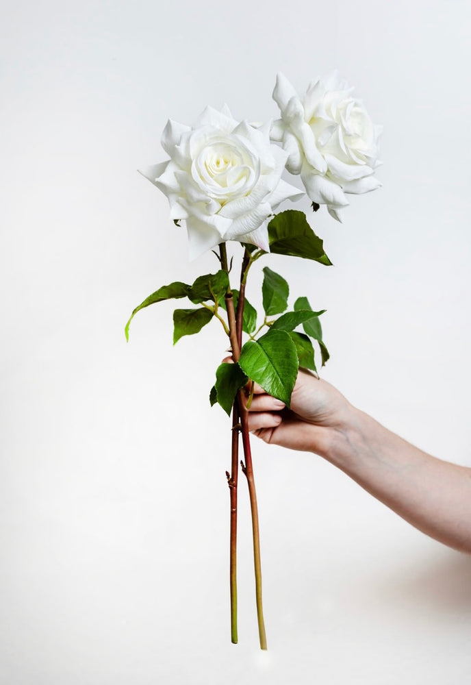 
                      
                        White Faux Hybrid Tea Rose
                      
                    