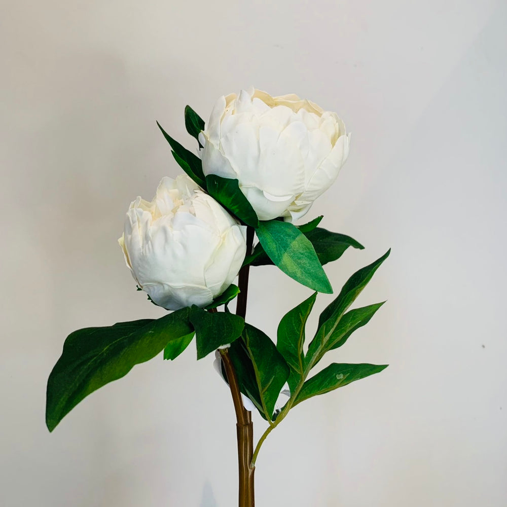 White 'Real Feel' Two Bloom Peony