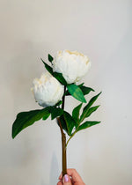 White 'Real Feel' Two Bloom Peony