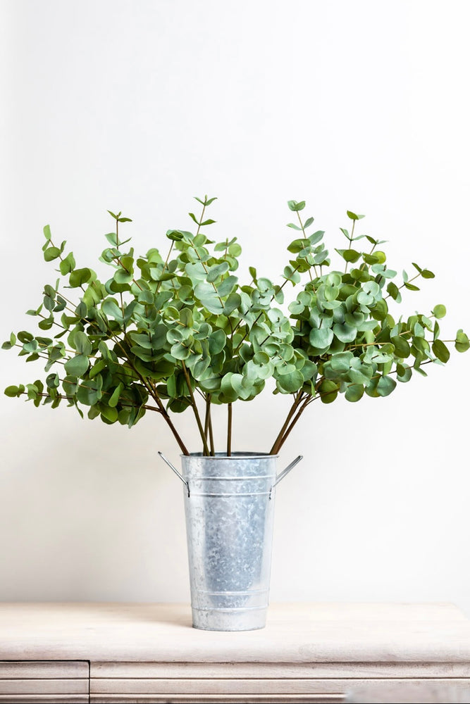 
                      
                        Faux Green Eucalyptus Stems
                      
                    