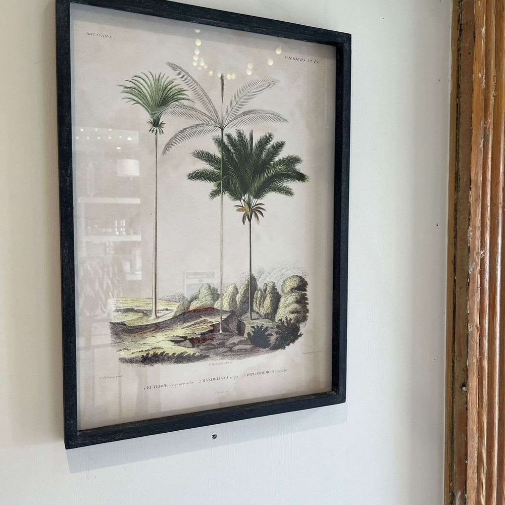 
                      
                        'Tropical Elegance' Framed Palm Tree Pictures Set of 2
                      
                    