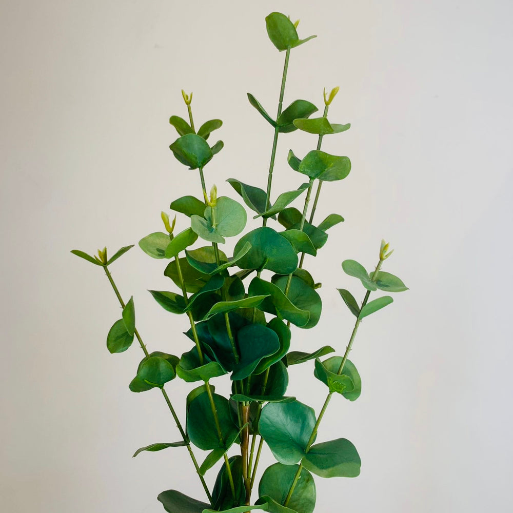 
                      
                        Faux Green Eucalyptus Stems
                      
                    