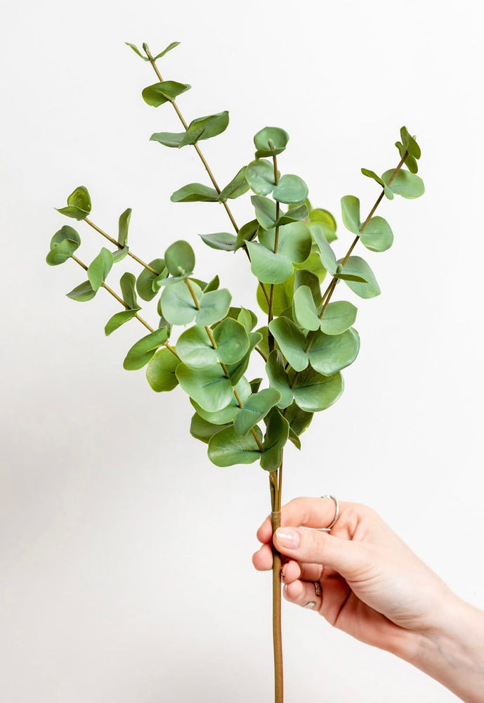 Faux Green Eucalyptus Stems