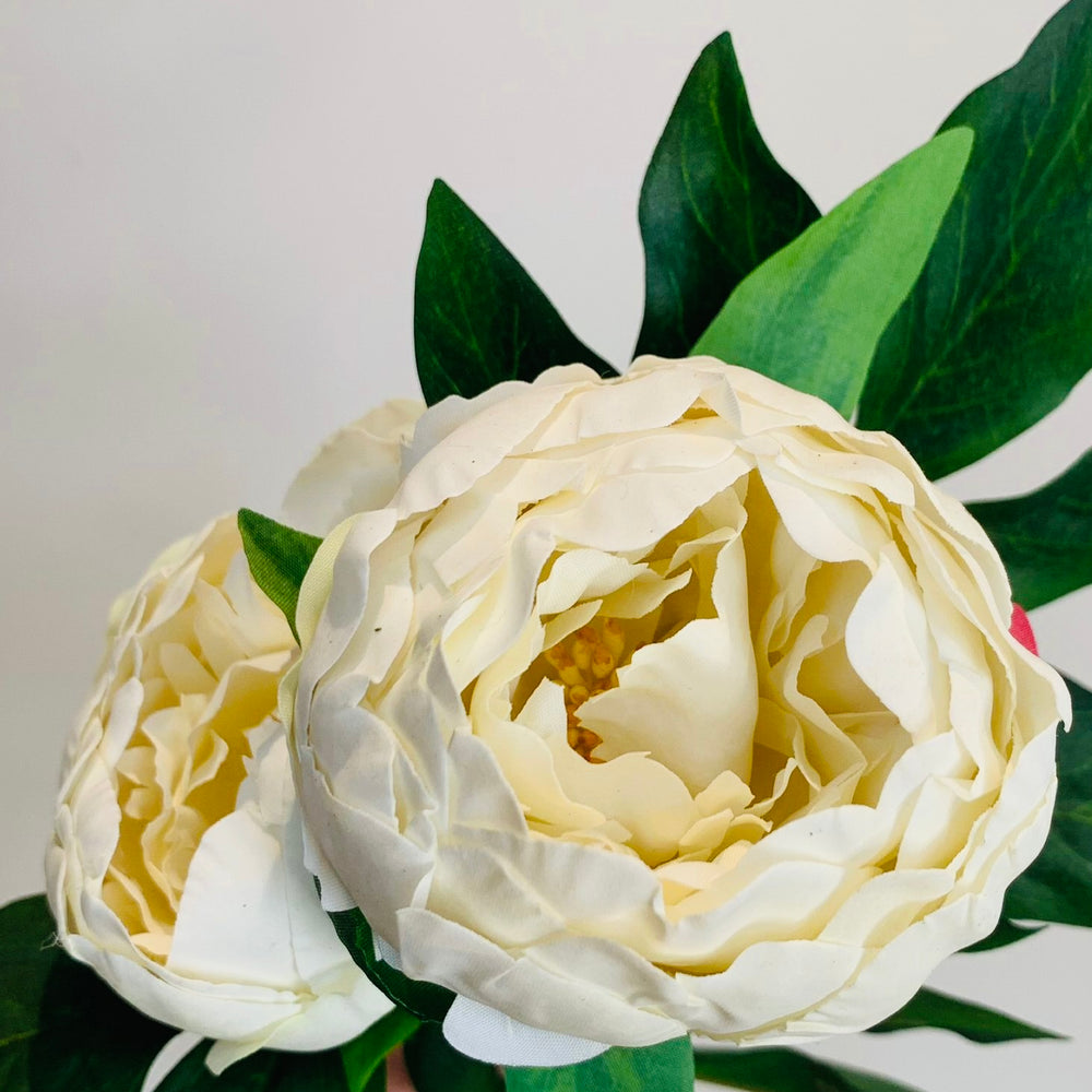 
                      
                        White 'Real Feel' Two Bloom Peony
                      
                    