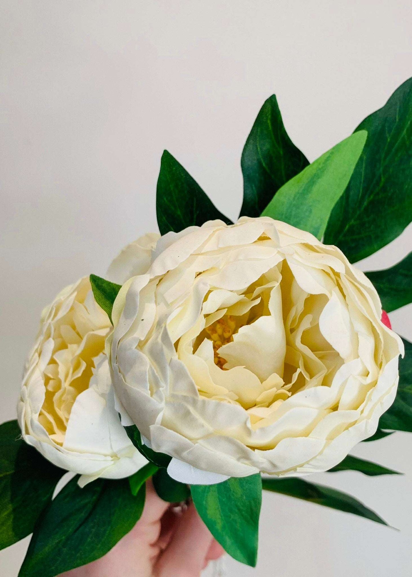 White 'Real Feel' Two Bloom Peony