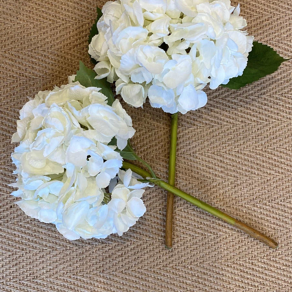 
                      
                        Faux White Hydrangea
                      
                    