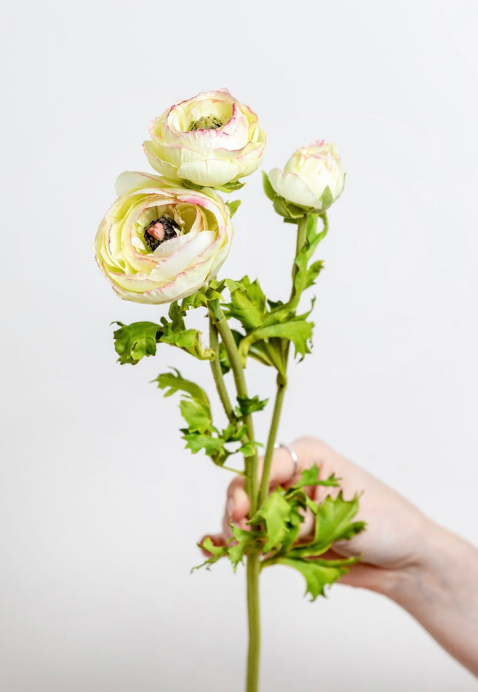 Faux Green Ranunculus 3 Head Stems