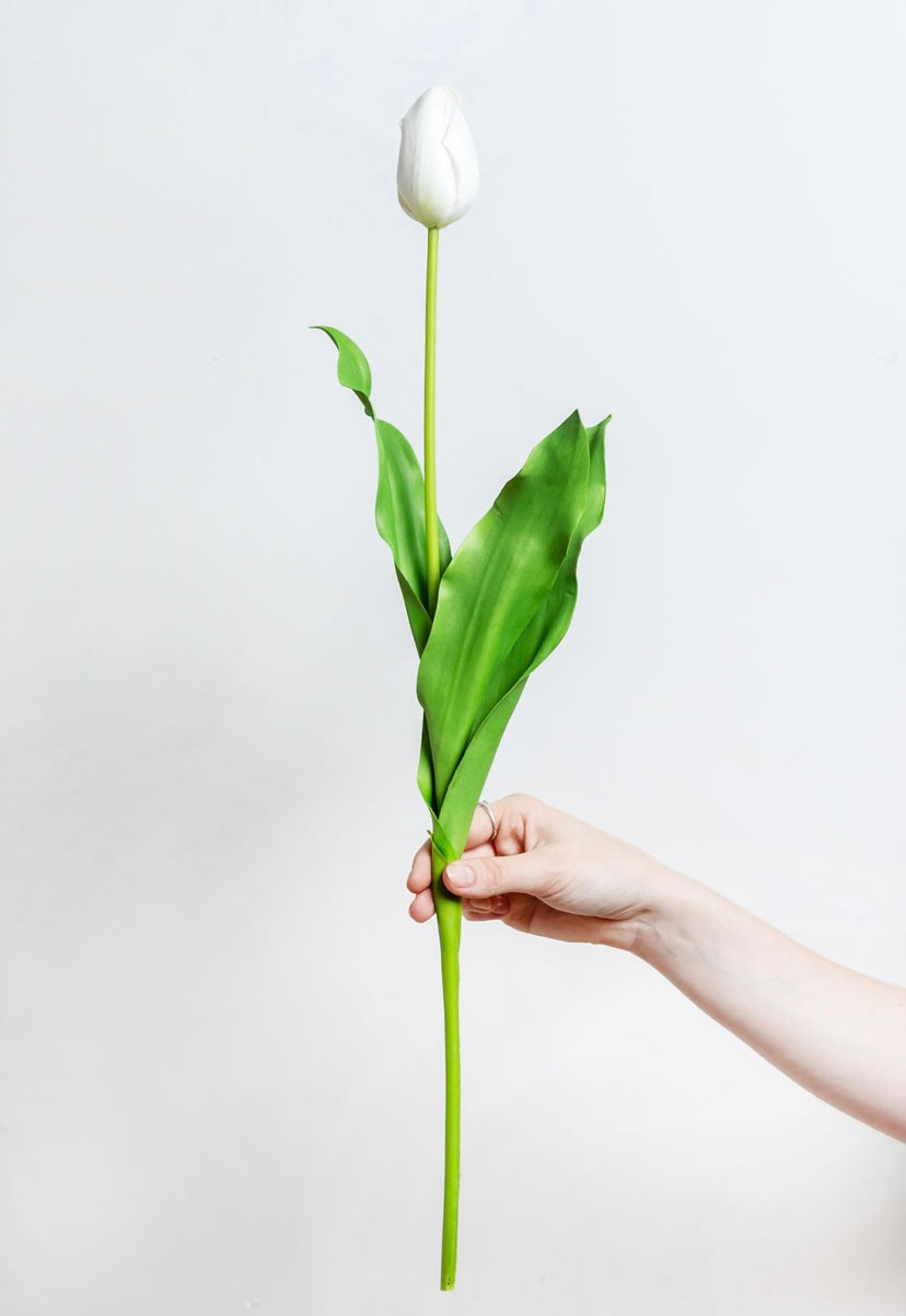 ‘The Best’ White Artificial Tulip Stems