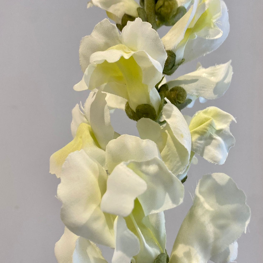 
                      
                        White Artificial Snapdragon Stem
                      
                    