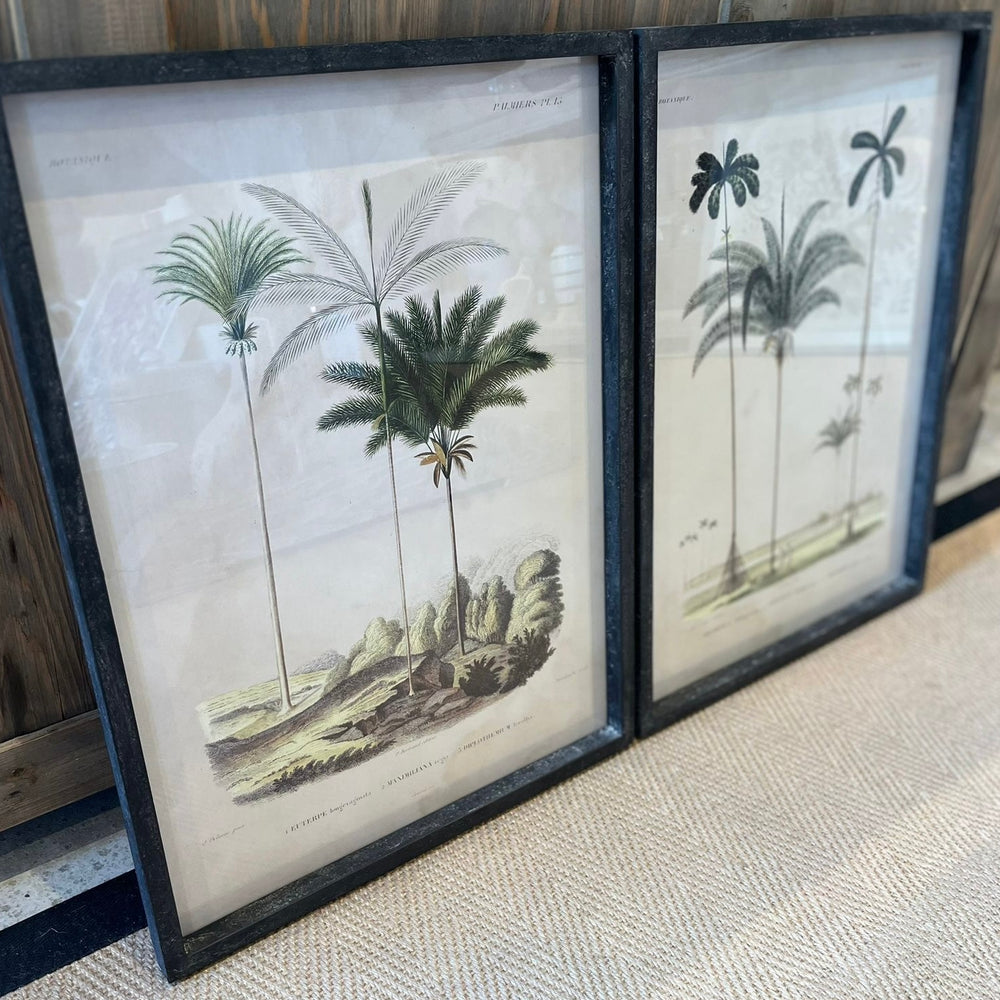 
                      
                        'Tropical Elegance' Framed Palm Tree Pictures Set of 2
                      
                    