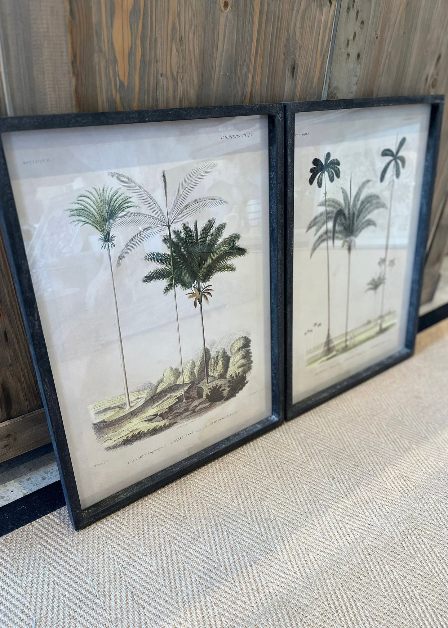 'Tropical Elegance' Framed Palm Tree Pictures Set of 2