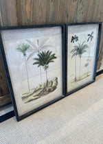 'Tropical Elegance' Framed Palm Tree Pictures Set of 2