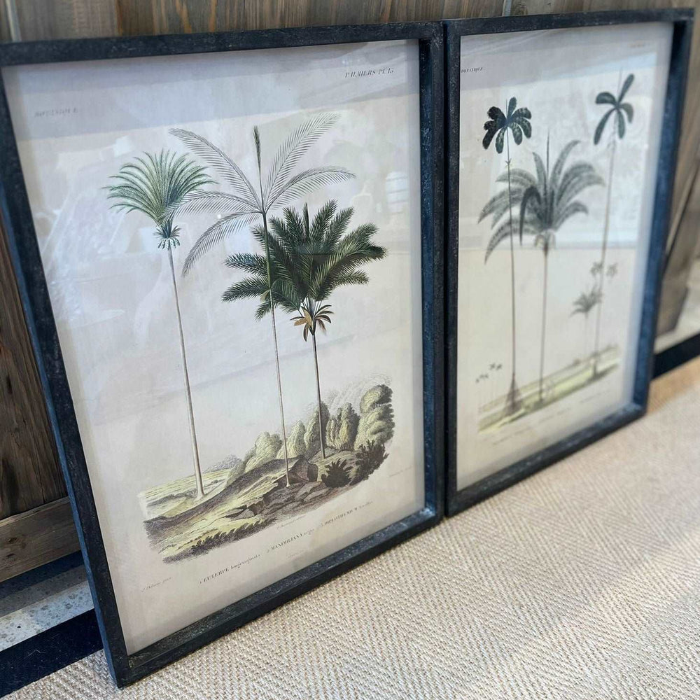 'Tropical Elegance' Framed Palm Tree Pictures Set of 2