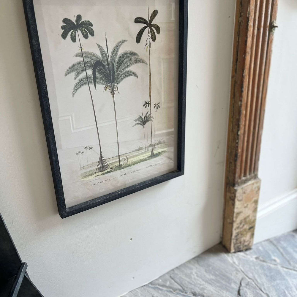 
                      
                        'Tropical Elegance' Framed Palm Tree Pictures Set of 2
                      
                    