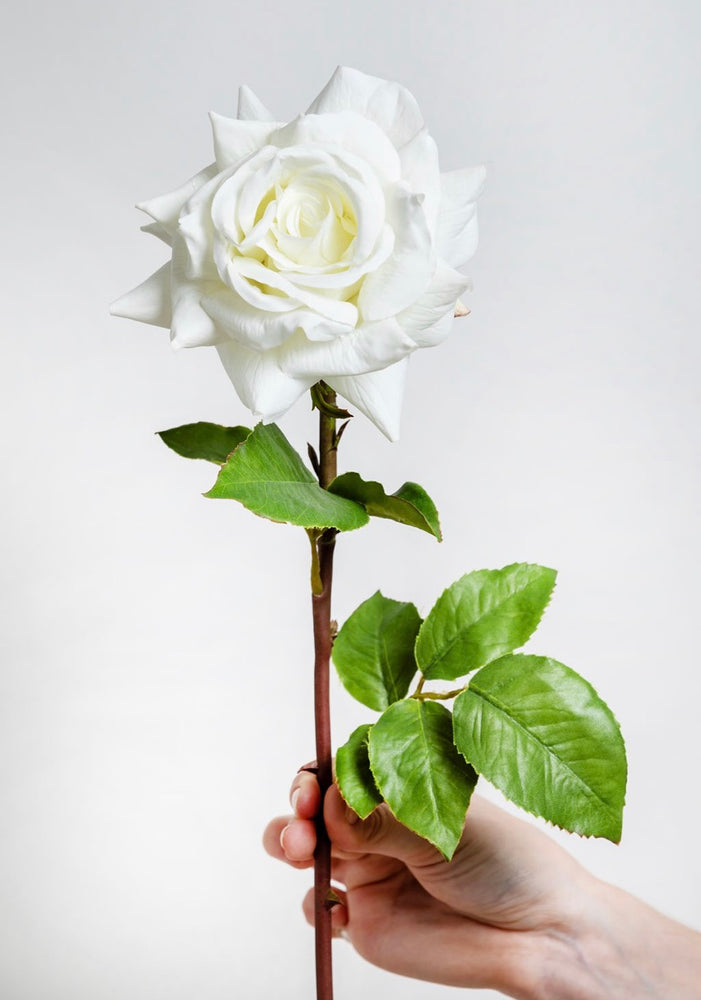 
                      
                        White Faux Hybrid Tea Rose
                      
                    