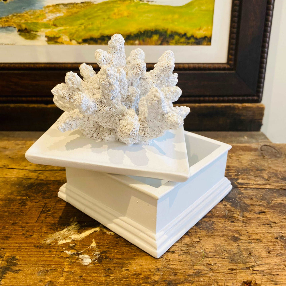 
                      
                        Coraline White Lidded Coral Effect Trinket Box
                      
                    