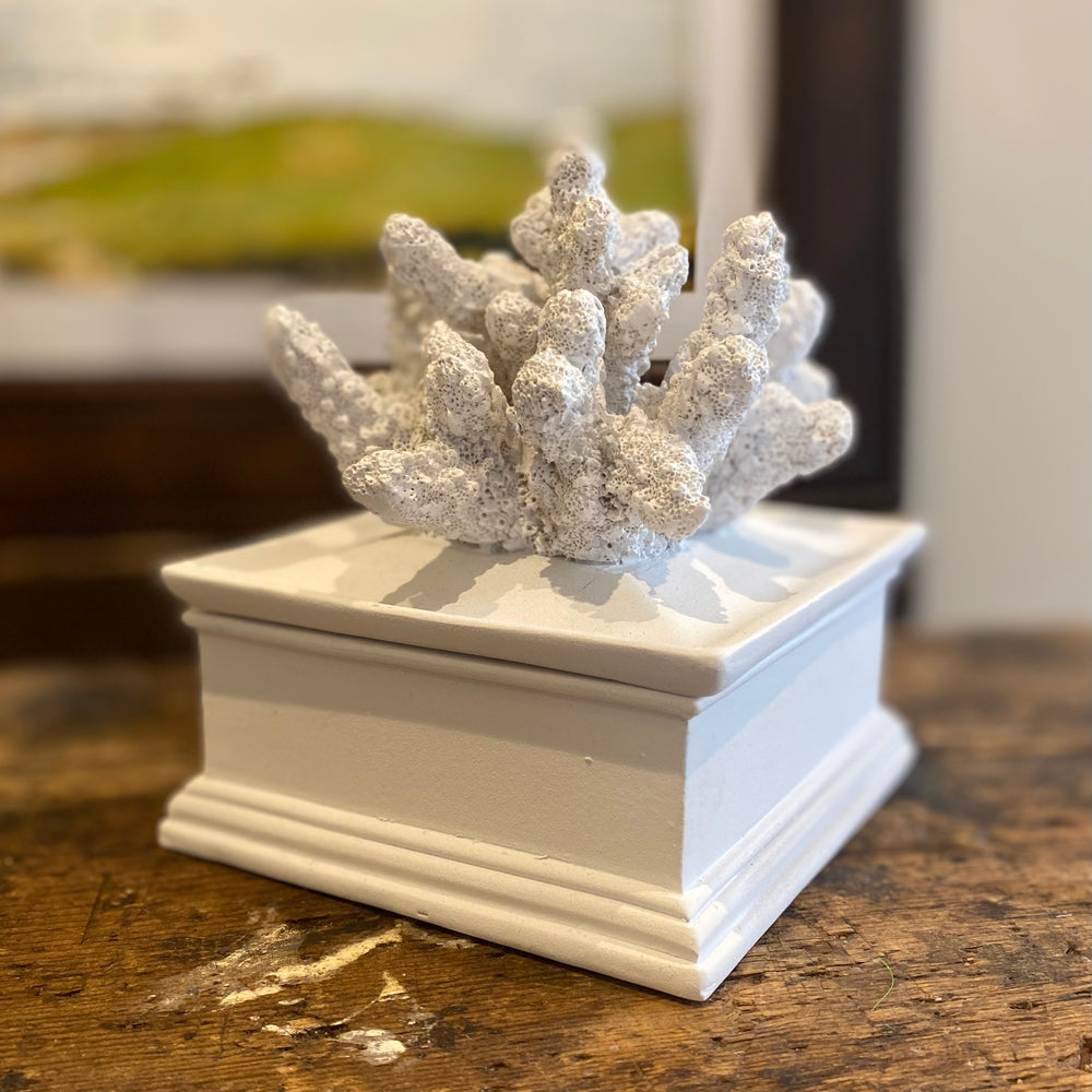 
                      
                        Coraline White Lidded Coral Effect Trinket Box
                      
                    