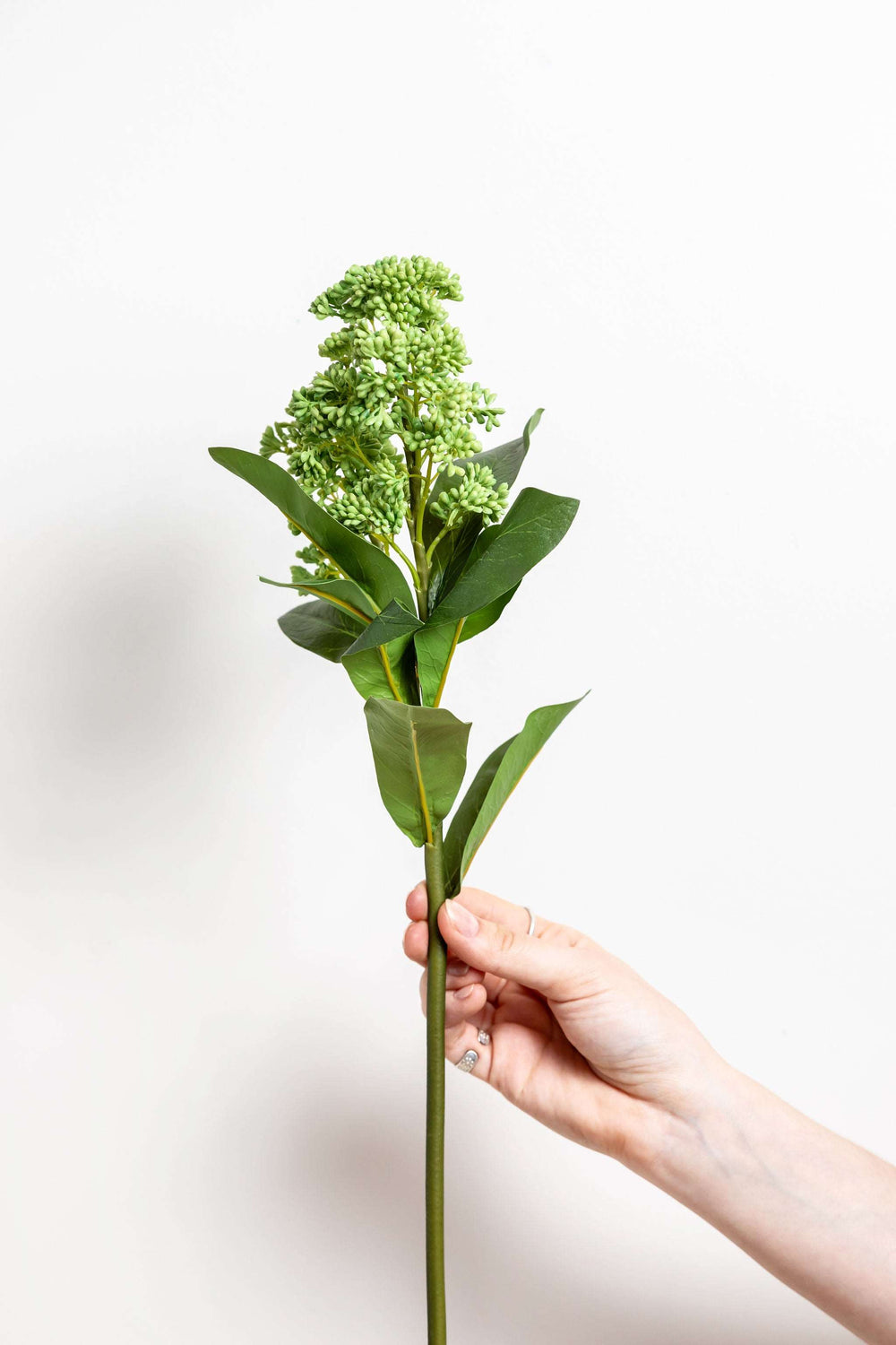 Green Artificial Skimmia Stem