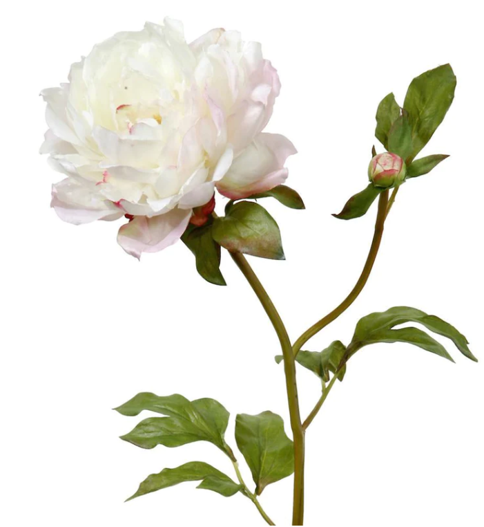 
                      
                        White Artificial Classic Peony
                      
                    